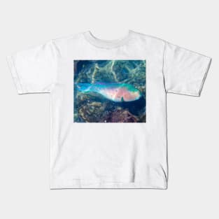 Bluechin Parrotfish in the Galapagos Islands, Ecuador Kids T-Shirt